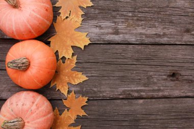 Kaba ahşap masa zemininde turuncu balkabakları ve sarı akçaağaç yaprakları. Üst görünüm, boşluğu kopyala. Sonbahar, tatil, Şükran Günü, hasat mevsimi konsepti. 