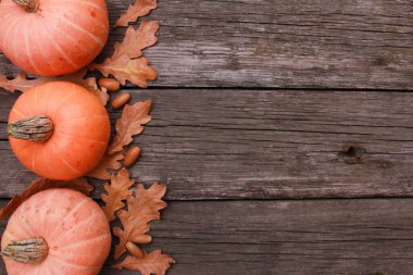 Turuncu balkabakları, kuru meşe yaprakları, kaba ahşap masa zemininde meşe palamudu. Üst görünüm, boşluğu kopyala. Sonbahar, tatil, Şükran Günü, hasat mevsimi konsepti. 