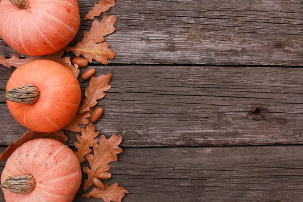 Turuncu balkabakları, kuru meşe yaprakları, kaba ahşap masa zemininde meşe palamudu. Üst görünüm, boşluğu kopyala. Sonbahar, tatil, Şükran Günü, hasat mevsimi konsepti. 