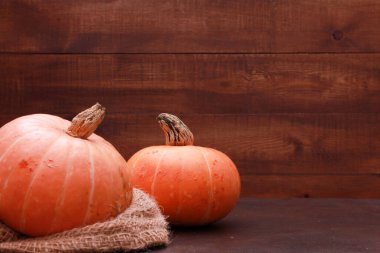 İki balkabağı, çuval bezi koyu kahverengi tahta duvar arka planına karşı. Yan görüş, kopyalama alanı, yakın çekim. Yiyecek, sonbahar, tatil, Şükran Günü, hasat mevsimi konsepti. 