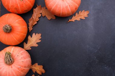 Turuncu balkabakları, koyu gri arka planda kuru meşe yaprakları. Üst görünüm, boşluğu kopyala. Yiyecek, sonbahar, tatil, şükran günü, hasat konsepti. 