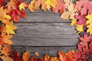 Döküntü tahtalarda renkli akçaağaç yaprakları. Boşluğu, çerçeveyi, sınırı kopyala. Sonbahar, doğa, mevsim, dekorasyon konsepti