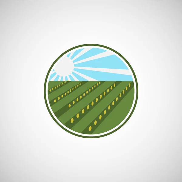 Farm Friss Termékek Egyedi Jel Vagy Ikon Képet Biogazdálkodás Logo — Stock Vector