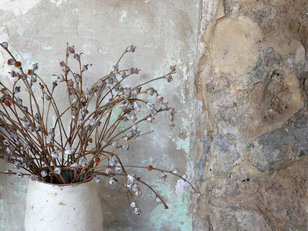 Σπίτι Εσωτερικό Αποξηραμένο Λουλούδι Ένα Τραχύ Σκυρόδεμα Τοίχο — Φωτογραφία Αρχείου