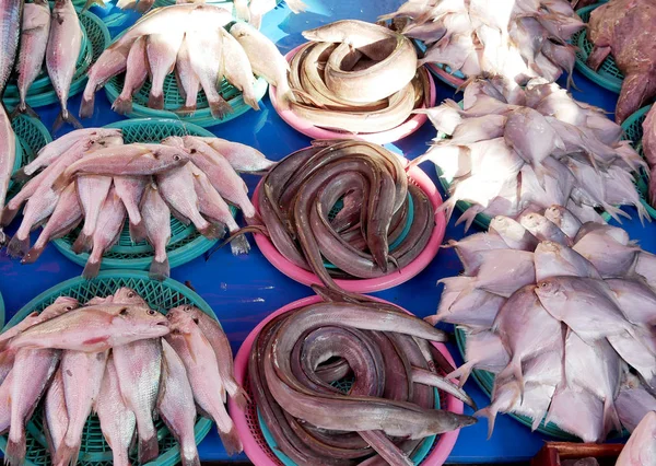 韩国釜山札嘎其鱼市场销售鲜鱼 — 图库照片