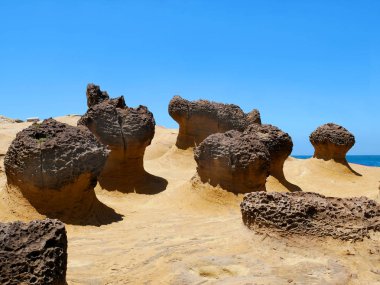 Yehliu Geopark, yeni Taipei, Tayvan petek desenli mantar taş oluşumu.