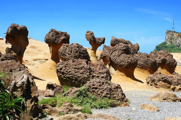 Formação Pedra Cogumelos Com Padrão Favo Mel Yehliu Geopark New — Fotografia de Stock