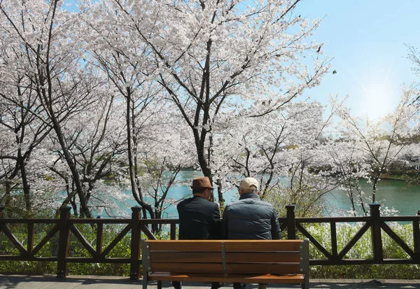 公園に座ってお互いに話し合う古い友人 — ストック写真