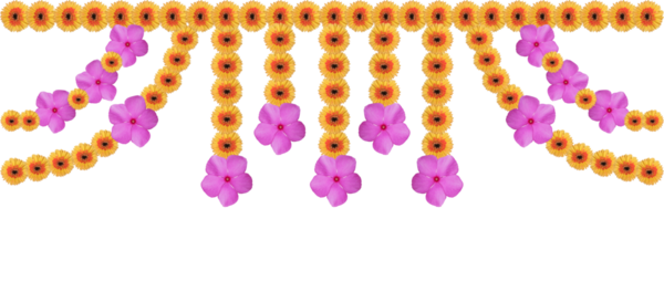 Düğün dekorasyonu için Daisy çiçek dekorasyonu, Mutlu Diwali, Hindistan Tatil Festivali şeffaf arka planda izole