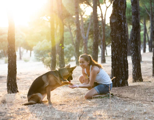 Mujer enseñando y amando a su perro — Foto de Stock