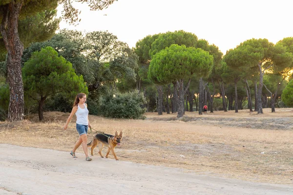 Mujer caminando con ella hacer en el parque — Foto de Stock