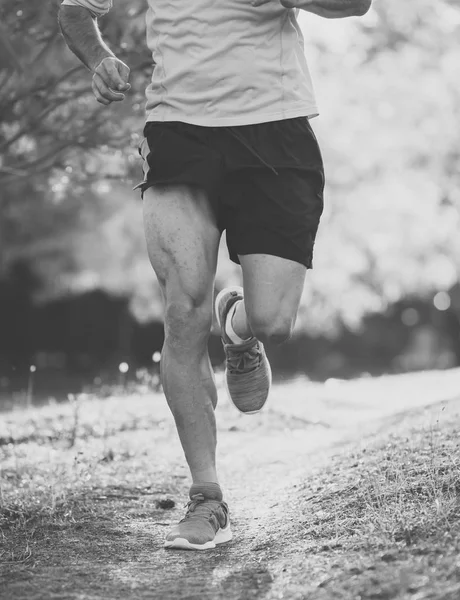 Young Sport Man Running Countryside Cross Country Workout Summer Sunset — Stock Photo, Image