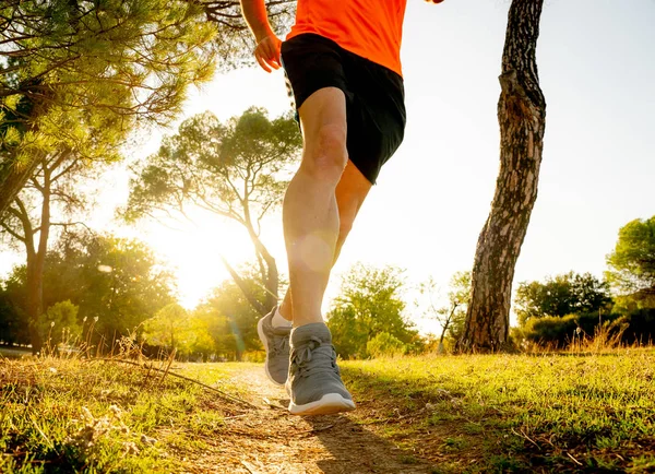Young sport man running on countryside in cross country workout at summer sunset with harsh sunlight effect in at beautiful autumn park forest trail in fitness exercise and healthy lifestyle concept.