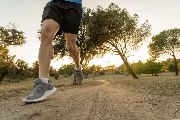 Young Sport Man Running Countryside Cross Country Workout Summer Sunset — Stock Photo, Image