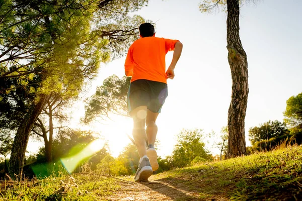 Back View Sport Man Ripped Athletic Muscular Legs Running Road — Stock Photo, Image