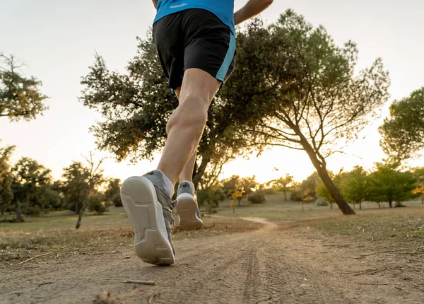 Arkadan Görünüşü Spor Adamla Sonbahar Günbatımı Eğitim Koşu Kırsal Fitness — Stok fotoğraf