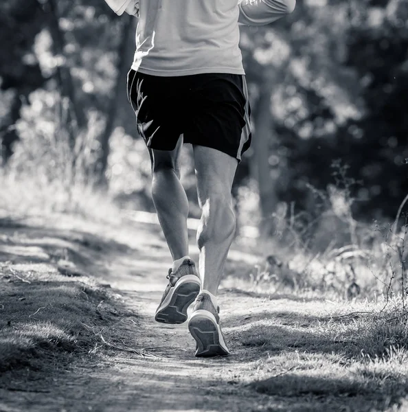 Back View Sport Man Ripped Athletic Muscular Legs Running Road — Stock Photo, Image