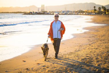 Güzel emekli yaşlı kadın ve plaj arkadaşlık faydaları hayvanların koruma aktif emeklilik yaşam tarzı ve köpek dostu Turizm kıyı deniz okyanus yürürken Alman shepard köpeği.