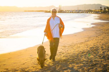 Güzel emekli yaşlı kadın ve plaj arkadaşlık faydaları hayvanların koruma aktif emeklilik yaşam tarzı ve köpek dostu Turizm kıyı deniz okyanus yürürken Alman shepard köpeği.