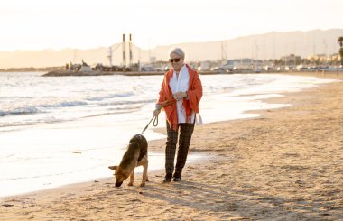 Güzel emekli yaşlı kadın ve plaj arkadaşlık faydaları hayvanların koruma aktif emeklilik yaşam tarzı ve köpek dostu Turizm kıyı deniz okyanus yürürken Alman shepard köpeği.