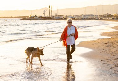 Güzel emekli yaşlı kadın ve plaj arkadaşlık faydaları hayvanların koruma aktif emeklilik yaşam tarzı ve köpek dostu Turizm kıyı deniz okyanus yürürken Alman shepard köpeği.