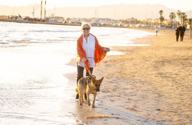 Güzel emekli yaşlı kadın ve plaj arkadaşlık faydaları hayvanların koruma aktif emeklilik yaşam tarzı ve köpek dostu Turizm kıyı deniz okyanus yürürken Alman shepard köpeği.