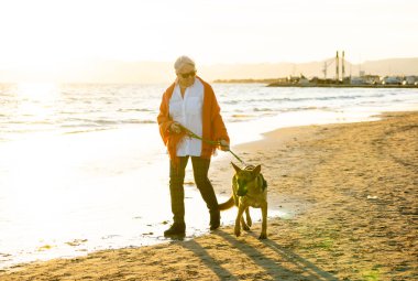 Güzel emekli yaşlı kadın ve plaj arkadaşlık faydaları hayvanların koruma aktif emeklilik yaşam tarzı ve köpek dostu Turizm kıyı deniz okyanus yürürken Alman shepard köpeği.