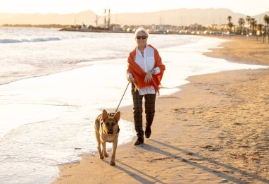 Güzel emekli yaşlı kadın ve plaj arkadaşlık faydaları hayvanların koruma aktif emeklilik yaşam tarzı ve köpek dostu Turizm kıyı deniz okyanus yürürken Alman shepard köpeği.