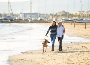 Mutlu kıdemli anne yetişkin kızı ve Alman shepard köpek vakit birlikte günbatımı ışık kumsalda mutlu aile anlarda evde beslenen hayvan hayvanlar yürürken köpek dostu Turizm ve emeklilik faydaları.