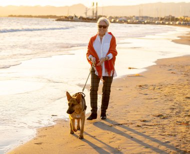 Güzel emekli yaşlı kadın ve plaj arkadaşlık faydaları hayvanların koruma aktif emeklilik yaşam tarzı ve köpek dostu Turizm kıyı deniz okyanus yürürken Alman shepard köpeği.