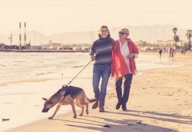 Mutlu kıdemli anne yetişkin kızı ve Alman shepard köpek vakit birlikte günbatımı ışık kumsalda mutlu aile anlarda evde beslenen hayvan hayvanlar yürürken köpek dostu Turizm ve emeklilik faydaları.