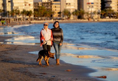 Mutlu kıdemli anne yetişkin kızı ve Alman shepard köpek vakit birlikte günbatımı ışık kumsalda mutlu aile anlarda evde beslenen hayvan hayvanlar yürürken köpek dostu Turizm ve emeklilik faydaları.