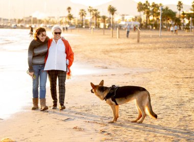 Mutlu kıdemli anne yetişkin kızı ve Alman shepard köpek vakit birlikte günbatımı ışık kumsalda mutlu aile anlarda evde beslenen hayvan hayvanlar yürürken köpek dostu Turizm ve emeklilik faydaları.