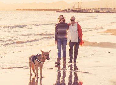 Mutlu kıdemli anne yetişkin kızı ve Alman shepard köpek vakit birlikte günbatımı ışık kumsalda mutlu aile anlarda evde beslenen hayvan hayvanlar yürürken köpek dostu Turizm ve emeklilik faydaları.