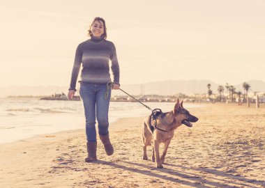 Güzel yetişkin kadın ve evde beslenen hayvan Alman shepard köpek arkadaşlık faydaları hayvanların köpeklerin yaşam tarzı ve köpek dostu Turizm Eğitim öğleden sonra batımında sahilde kıyı deniz okyanus yürüyen.