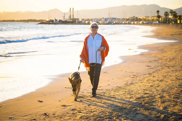 Όμορφη Συνταξιούχος Ηλικιωμένη Γυναίκα Σκυλί Συντροφιάς Και Γερμανικά Shepard Περπατώντας — Φωτογραφία Αρχείου