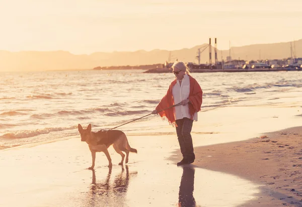 美丽的退休的老年妇女和宠物德国谢帕德狗走在岸边的海洋在海滩上的伴侣的好处的动物保持积极退休的生活方式和狗友好的旅游 — 图库照片