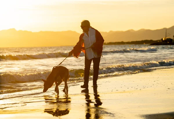 Hermosa Mujer Mayor Jubilada Perro Pastor Alemán Mascota Paseando Largo — Foto de Stock