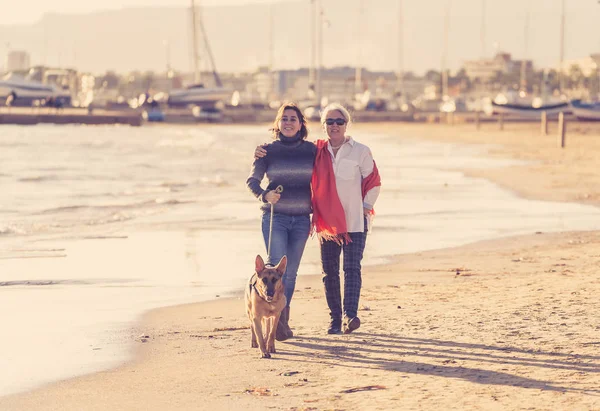 Mutlu Kıdemli Anne Yetişkin Kızı Alman Shepard Köpek Vakit Birlikte — Stok fotoğraf