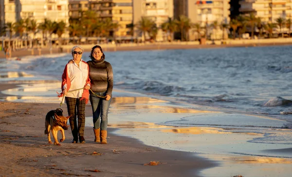 快乐的高级母亲她的成年女儿和德国谢帕德狗花时间一起走在海滩上日落灯光在快乐的家庭时刻宠物动物好处狗友好的旅游和退休 — 图库照片