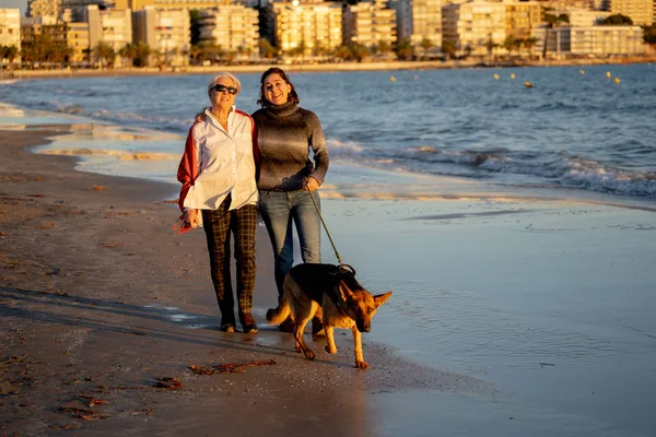 Mutlu kıdemli anne yetişkin kızı ve Alman shepard köpek vakit birlikte günbatımı ışık kumsalda mutlu aile anlarda evde beslenen hayvan hayvanlar yürürken köpek dostu Turizm ve emeklilik faydaları.