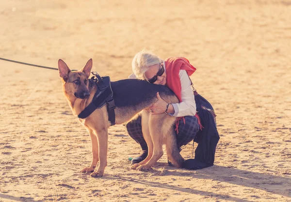 Пожилая Женщина Играет Своей Немецкой Собакой Шепардом Наслаждаясь Своей Спутницей — стоковое фото