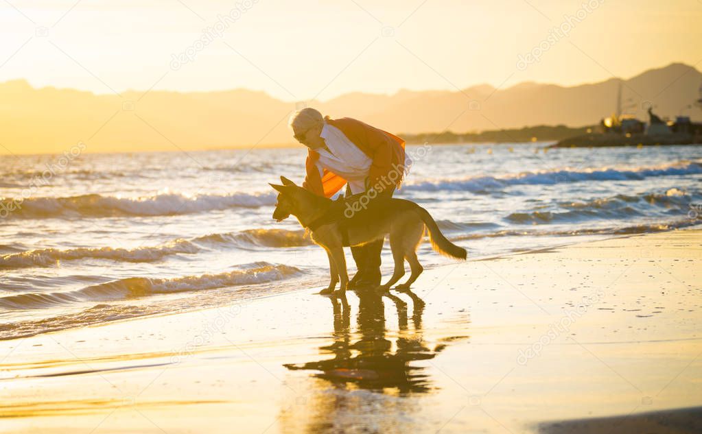 Beautiful retired older woman and pet german shepard dog walking along the shore sea ocean on beach in Companionship Benefits of animals Keeping active Retirement lifestyle and Dog friendly tourism.