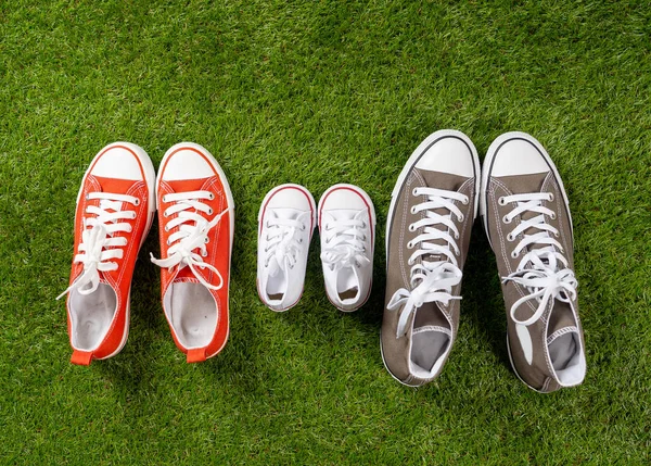 Conceptual image family gumshoes sneakers of father mother and son daughter on green grass in man woman and children sizes in Happy moments together Family Parenting Education and lifestyle concept.