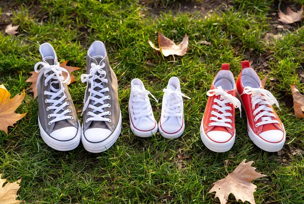 Conceptual image of family sneakers shoes in father mother and baby sizes on grass in beautiful autumn sunset light for togetherness Happy Family Expecting young parents and outdoors lifestyle.