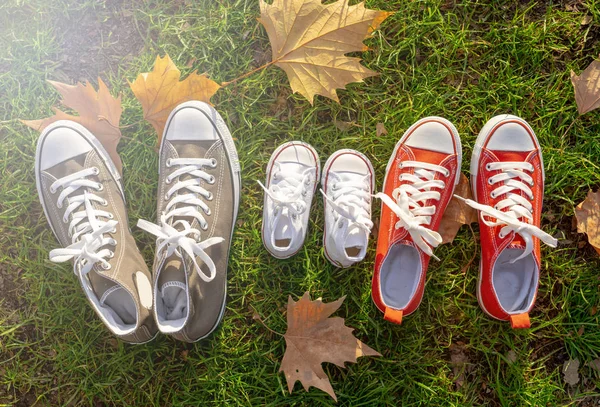 Conceptual image of family sneakers shoes in father mother and baby sizes on grass in beautiful autumn sunset light for togetherness Happy Family Expecting young parents and outdoors lifestyle.