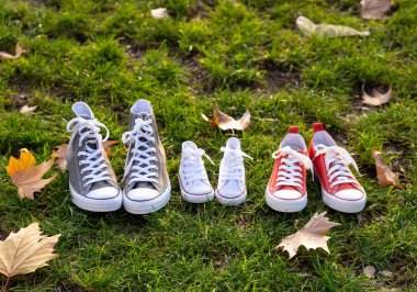 Baba Anne kavramsal görüntü aile spor ayakkabı ayakkabı ve otların arasında güzel bebek boyutlarına sonbahar günbatımı beraberlik için mutlu aile bekliyor anne ve açık hava yaşam tarzı ışık.