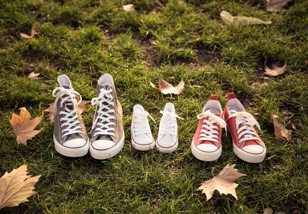 Imagem Conceitual Sapatilhas Família Sapatos Pai Mãe Bebê Tamanhos Grama — Fotografia de Stock