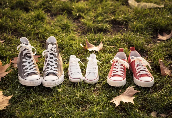 Conceptual image of family sneakers shoes in father mother and baby sizes on grass in beautiful autumn sunset light for togetherness Happy Family Expecting young parents and outdoors lifestyle.