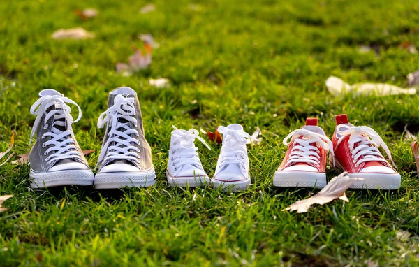 Conceptual Image Family Sneakers Shoes Father Mother Baby Sizes Grass — Stock Photo, Image